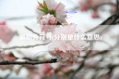 微积分符号(分别是什么意思)