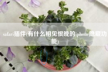 safari插件(有什么相见恨晚的iphone隐藏功能)