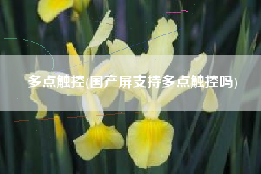 多点触控(国产屏支持多点触控吗)