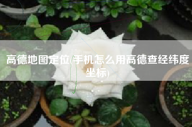高德地图定位(手机怎么用高德查经纬度坐标)