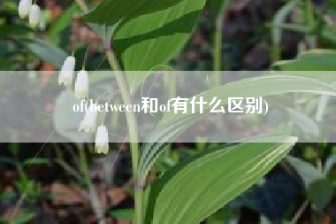 of(between和of有什么区别)