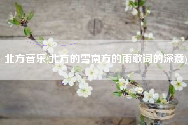 北方音乐(北方的雪南方的雨歌词的深意)
