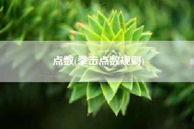 详细阅读:点数(拳击点数规则) 点数(拳击点数规则)