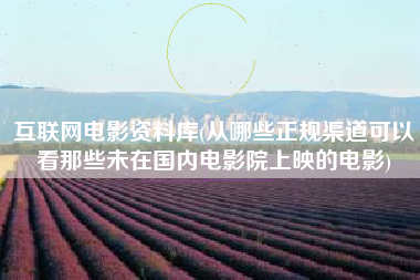 互联网电影资料库(从哪些正规渠道可以看那些未在国内电影院上映的电影)
