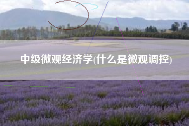 中级微观经济学(什么是微观调控)