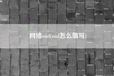 网络ssid(ssid怎么填写)