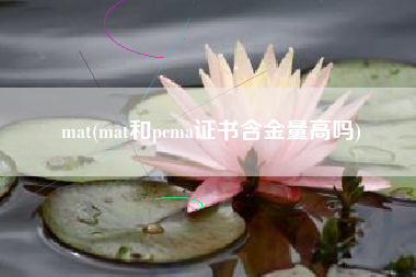 mat(mat和pcma证书含金量高吗)