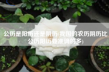 详细阅读:公历是阳历还是阴历(我国的农历阴历比公历阳历要准确的多) 公历是阳历还是阴历(我国的农历阴历比公历阳历要准确的多)