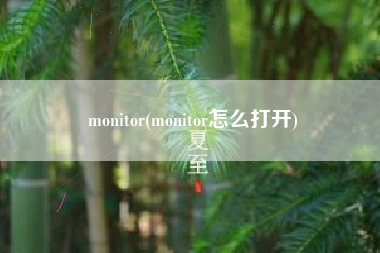 monitor(monitor怎么打开)