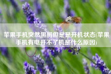 苹果手机突然黑屏但是是开机状态(苹果手机有电开不了机是什么原因)
