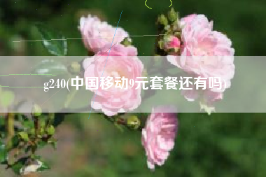 g240(中国移动9元套餐还有吗)