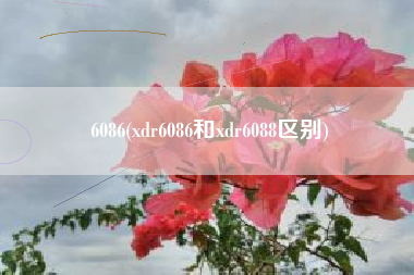 6086(xdr6086和xdr6088区别)