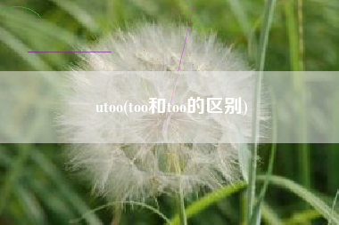 utoo(too和too的区别)