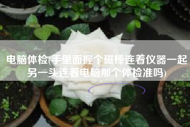 电脑体检(手里面握个磁棒连着仪器一起另一头连着电脑那个体检准吗)