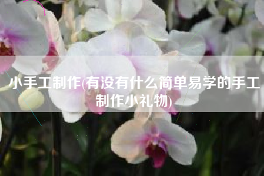 小手工制作(有没有什么简单易学的手工制作小礼物)