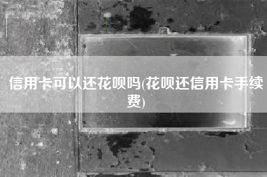 信用卡可以还花呗吗(花呗还信用卡手续费)