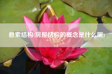 悬索结构(房屋结构的概念是什么呢)