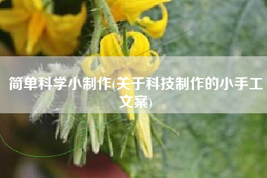 简单科学小制作(关于科技制作的小手工文案)