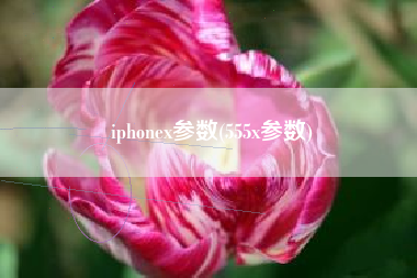 iphonex参数(555x参数)