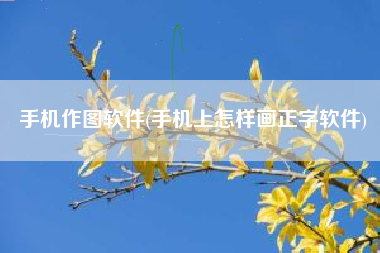 手机作图软件(手机上怎样画正字软件)