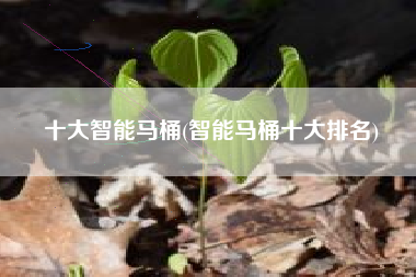 十大智能马桶(智能马桶十大排名)