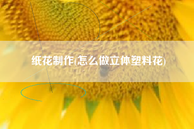 纸花制作(怎么做立体塑料花)