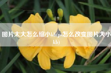 图片太大怎么缩小kb(ps怎么改变图片大小kb)