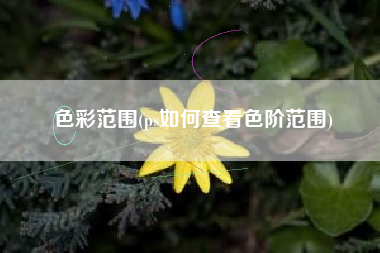 色彩范围(ps如何查看色阶范围)