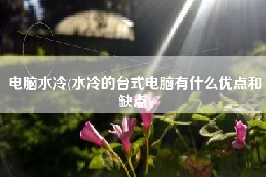 电脑水冷(水冷的台式电脑有什么优点和缺点)