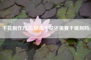 干花制作方法(做成干花还需要干燥剂吗)