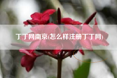 详细阅读:丁丁网南京(怎么样注册丁丁网) 丁丁网南京(怎么样注册丁丁网)