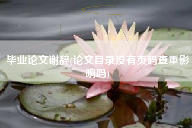 毕业论文谢辞(论文目录没有页码查重影响吗)