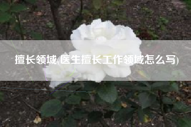 擅长领域(医生擅长工作领域怎么写)