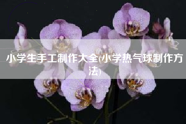 小学生手工制作大全(小学热气球制作方法)