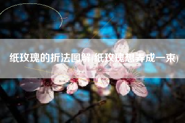 纸玫瑰的折法图解(纸玫瑰想弄成一束)