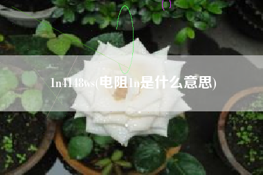 1n4148ws(电阻1n是什么意思)