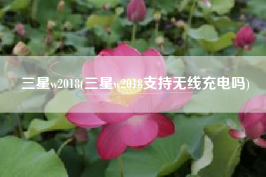三星w2018(三星w2018支持无线充电吗)