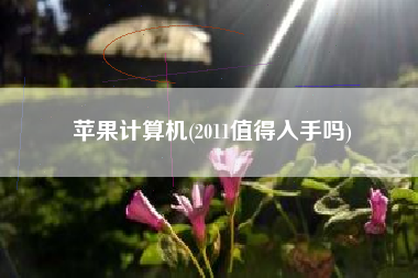 苹果计算机(2011值得入手吗)