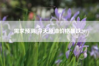 需求预测(今天原油价格暴跌20)
