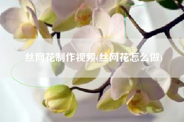 丝网花制作视频(丝网花怎么做)