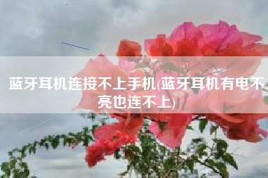 蓝牙耳机连接不上手机(蓝牙耳机有电不亮也连不上)