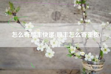 怎么寄顺丰快递(顺丰怎么寄重货)