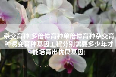 杂交育种(多倍体育种单倍体育种杂交育种诱变育种基因工程分别需要多少年才能培育出优良基因)