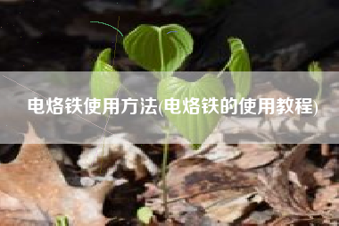 电烙铁使用方法(电烙铁的使用教程)