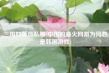 三国群英传私服(中国的最火网游为何总是韩国游戏)