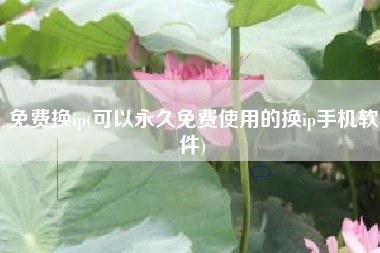 免费换ip(可以永久免费使用的换ip手机软件)