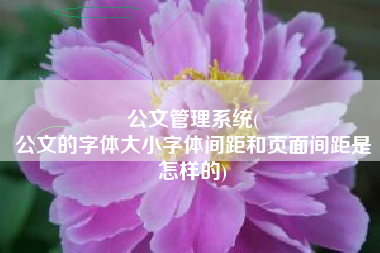 公文管理系统(
公文的字体大小字体间距和页面间距是怎样的) 公文管理系统(
公文的字体大小字体间距和页面间距是怎样的)