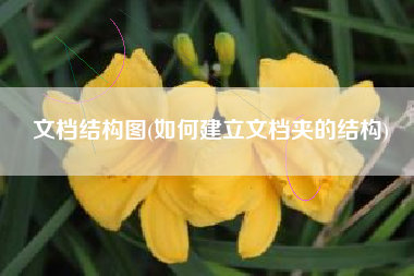 文档结构图(如何建立文档夹的结构)