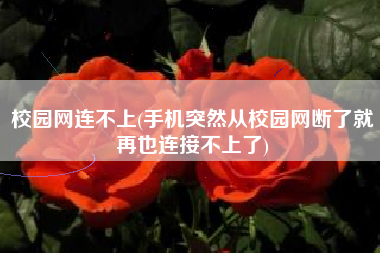 校园网连不上(手机突然从校园网断了就再也连接不上了)