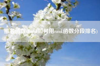 排名函数(Excel如何用rank函数分段排名)
